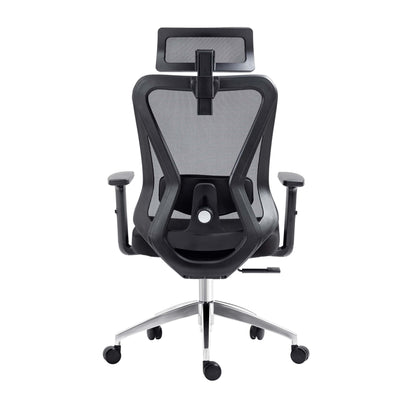 back view of an ergonomic office chair for back pain